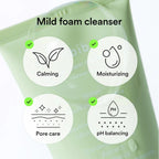 Abib Foam Cleanser Heartleaf Foam (2 Sizes)