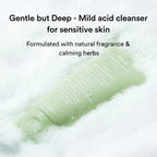 Abib Foam Cleanser Heartleaf Foam (2 Sizes)