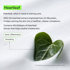 Abib Foam Cleanser Heartleaf Foam (2 Sizes)