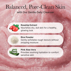 Arencia Fresh Rosehip Rice Mochi Cleanser Arencia