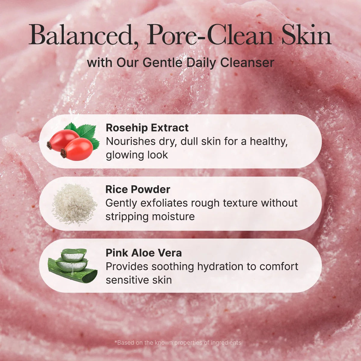 Arencia Fresh Rosehip Rice Mochi Cleanser Arencia