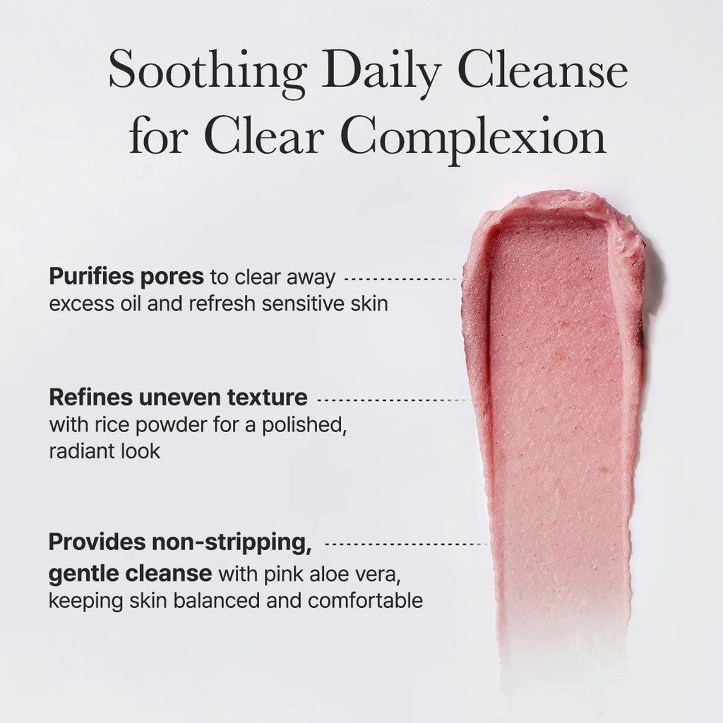 Arencia Fresh Rosehip Rice Mochi Cleanser Arencia
