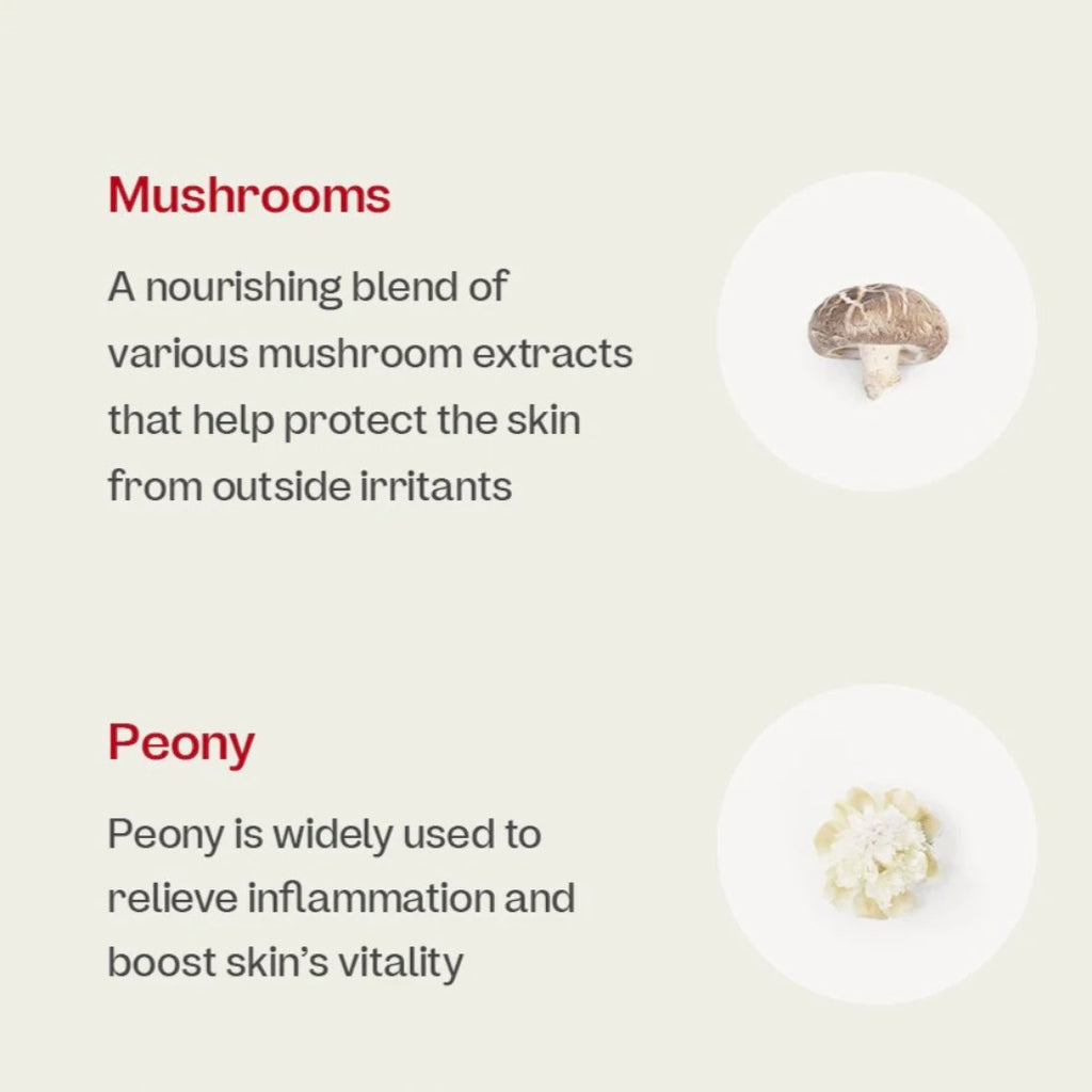 Nourishing blend of mushrooms and peony extracts for skin protection and vitality.