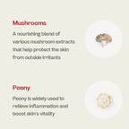 Nourishing blend of mushrooms and peony extracts for skin protection and vitality.