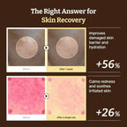 Dr. Reju-All Advanced PDRN Rejuvenating Cream 60ml