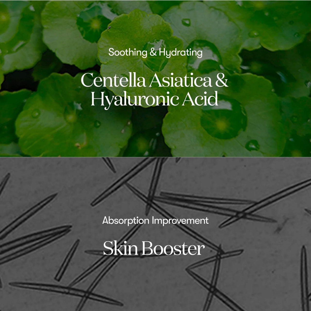 Product advertisement with green leaves and text about Centella Asiatica, Hyaluronic Acid, and skin booster benefits. VT Cosmetics Reedle Shot 300 Essence 50ml