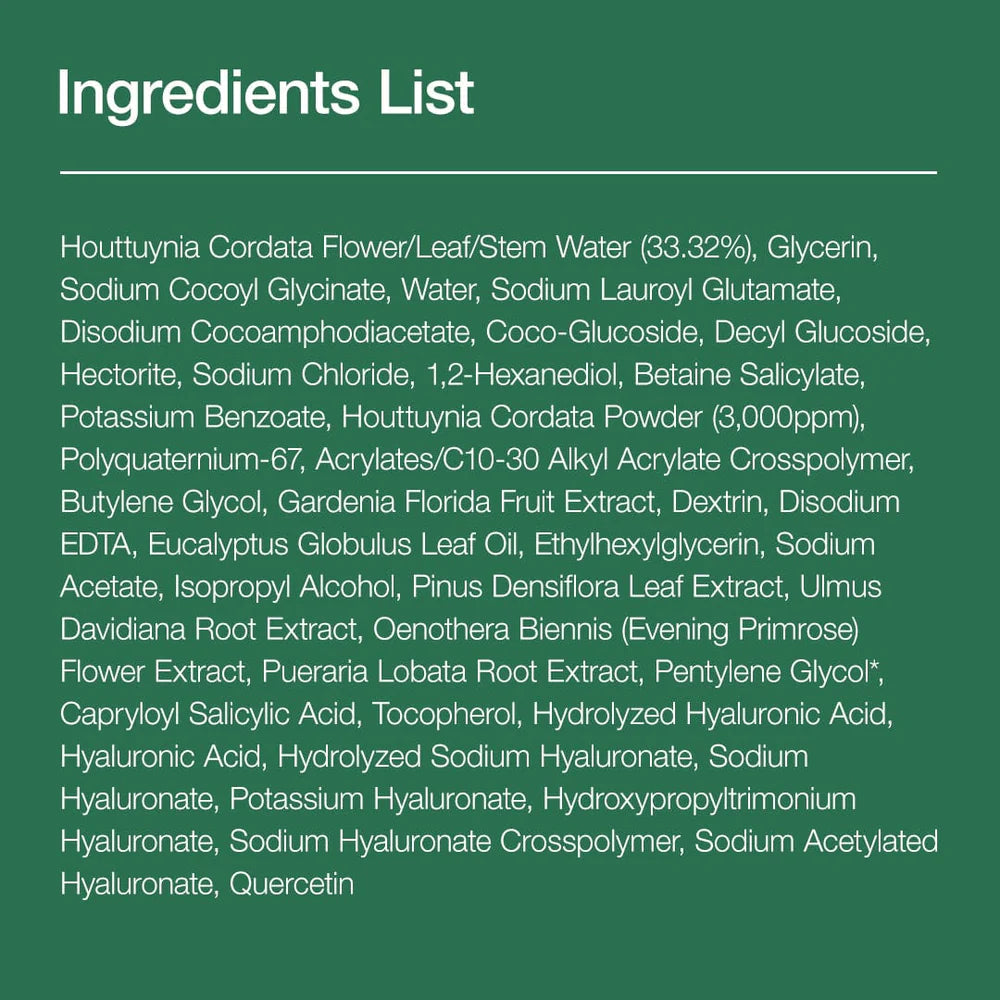 Anua Heartleaf Quercetinol Pore Deep Cleansing Foam 150ml Anua
