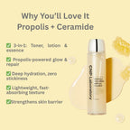 CNP Laboratory - Propolis Treatment Ampule Essence 150ML – Skin Care | Korean Skincare Canada - VGLE Beauty