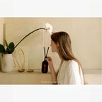 hetras Premium Diffuser 500ml x 2 - Hotel Wood VGLE Studios